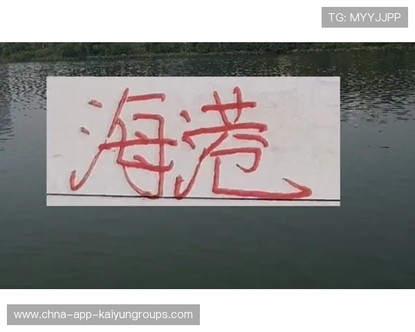 海港关键战翻盘失利后防漏洞频遭质疑，海港vs